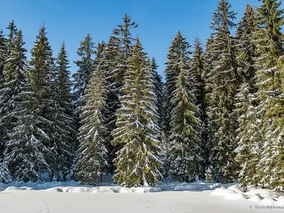 Zustiegsloipe Fichtelsee