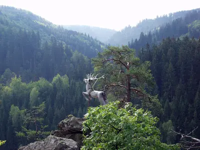F/R1 Höllental der Selbitz