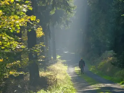 Nordic-Walking Tour Warmensteinach 03: Höllfelsenrunde (mittel)
