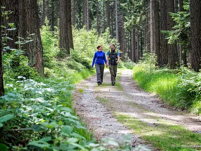 Nordic-Walking-Bischofsgrün 01: Schöne Aussicht (leicht)