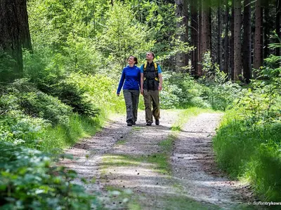 Nordic-Walking-Wüfersreuth 01: Markgrafen (leicht)