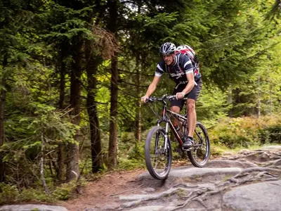 Mountainbike-Route Steinwald