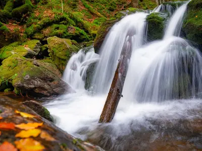 Bo64 Wildes-Wasser