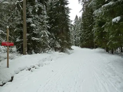 Rodelbahn auf der Luisenburg