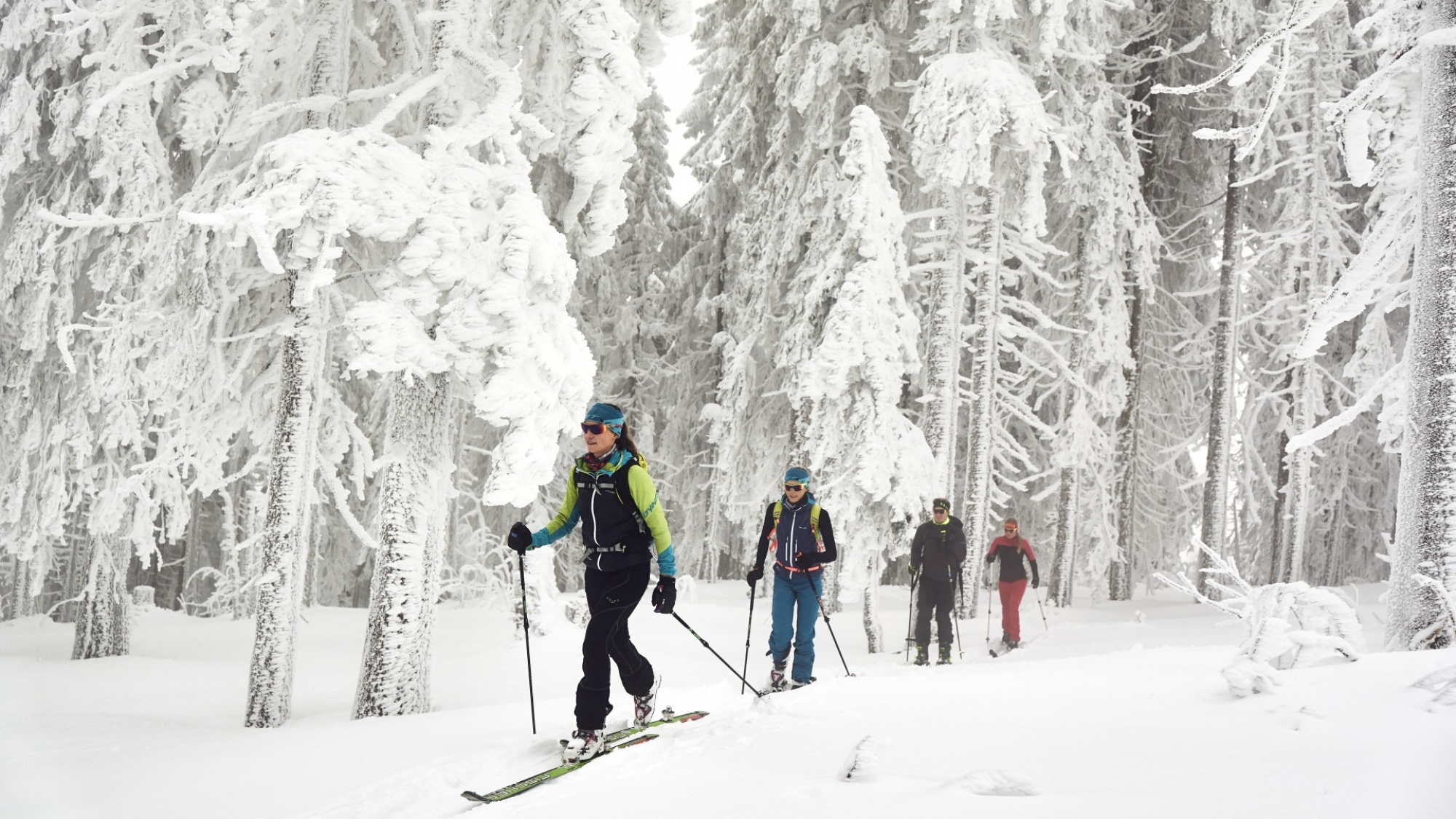 Ski- + Schneeschuhtour