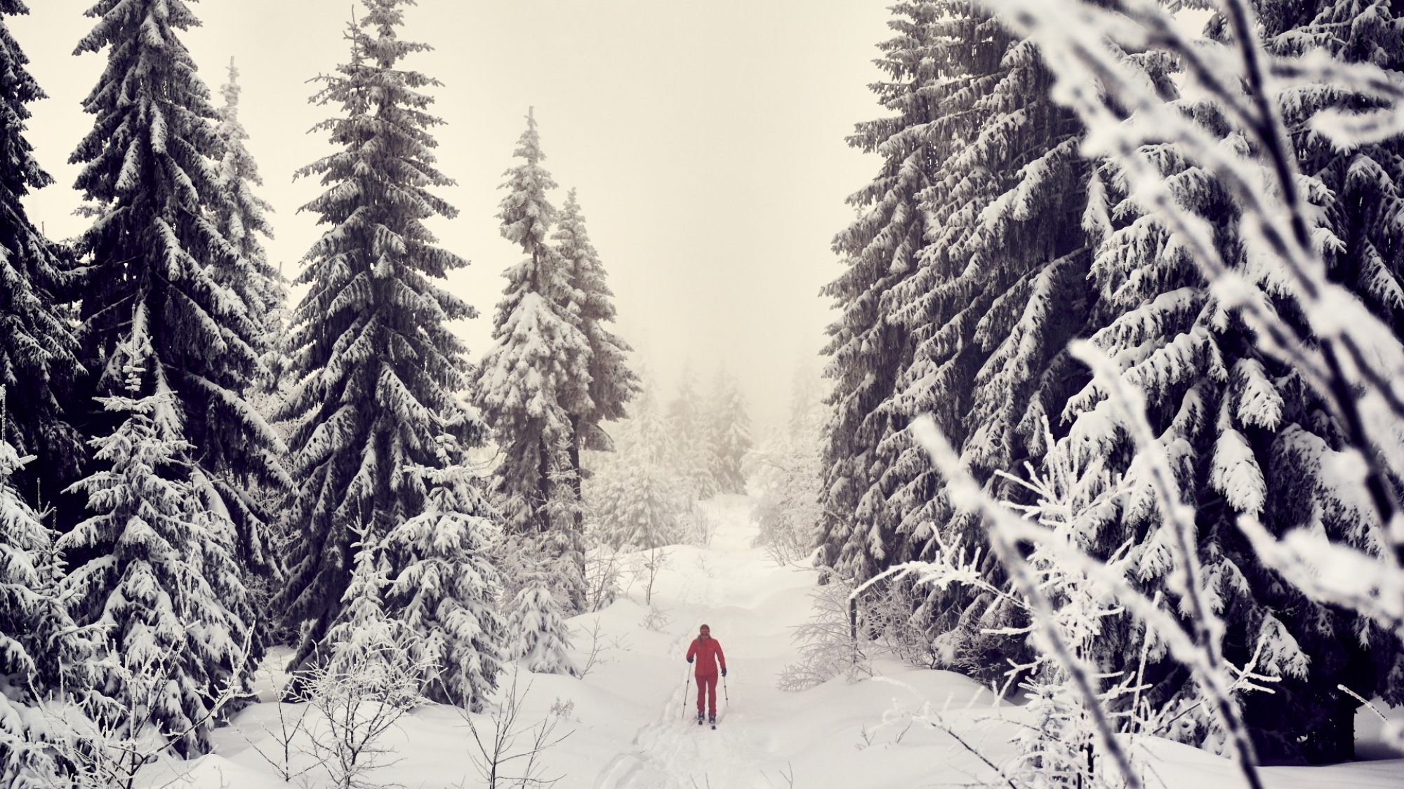 Ski- + Schneeschuhtour