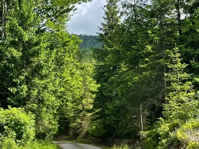 Ab7 Zum Skywalk Trailrunner