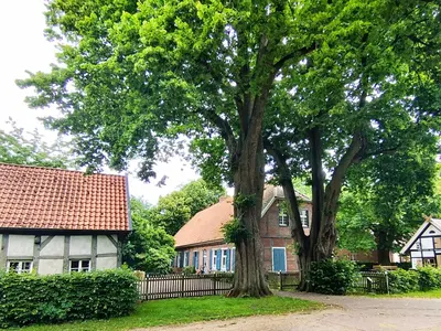 Moijen-Dag-Tour