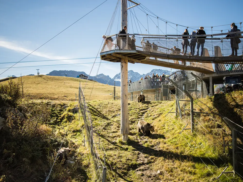 Aussichtsplattform im Arosa Bärenland