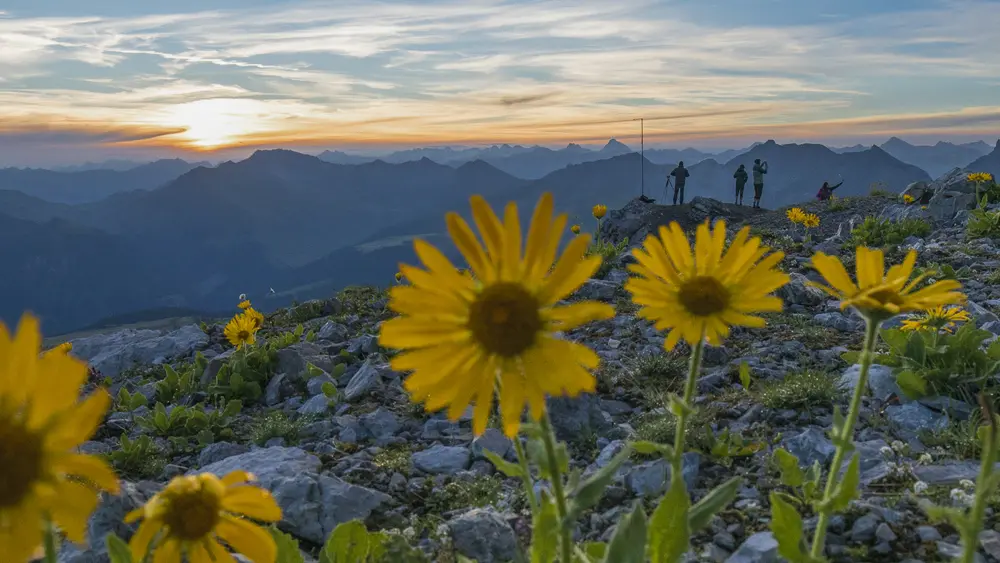 Morgenstimmung am Arosa Weisshorn