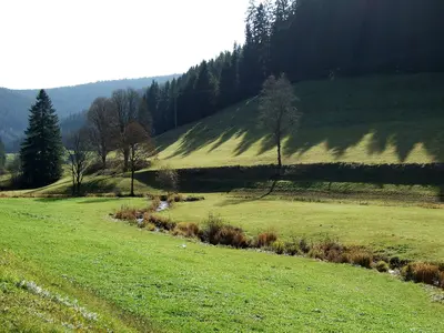 Bild Vöhrenbach