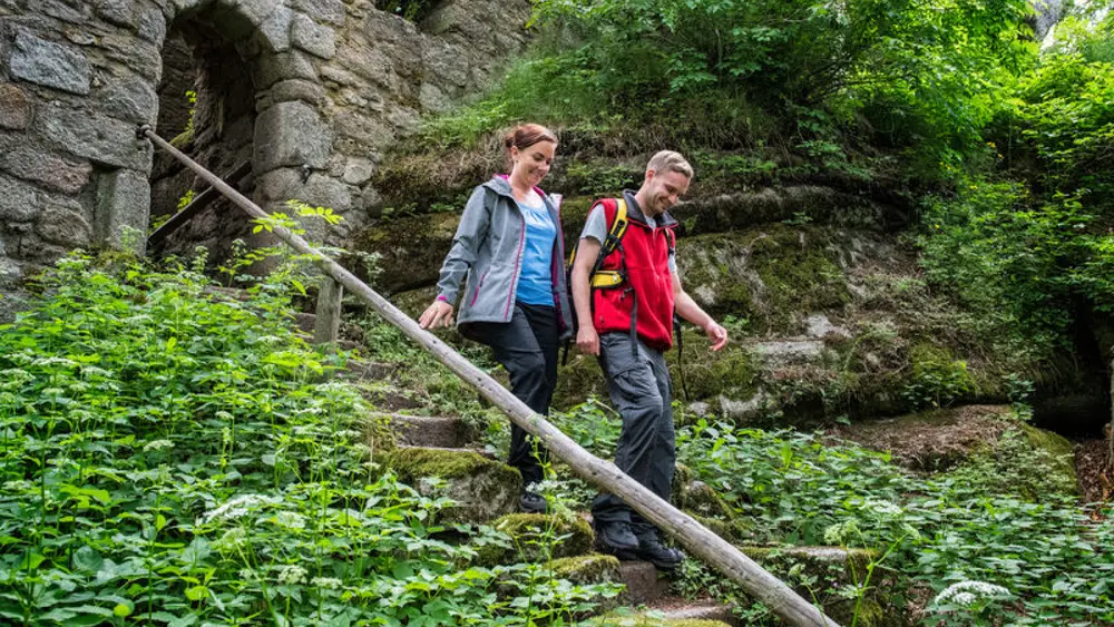 Am Großen Waldstein