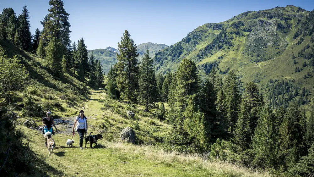 Unterwegs auf der Vier Almen Wanderung