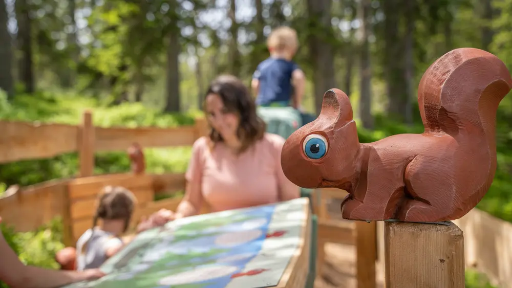 Bilderbuchweg am Rossbrand