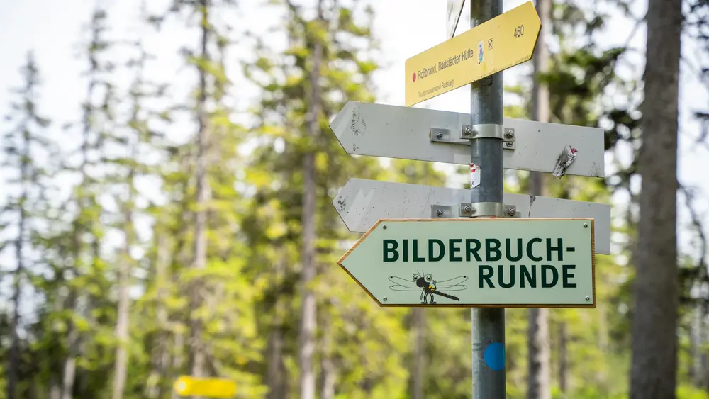 Hier entlang zur Bilderbuchrunde am Rossbrand