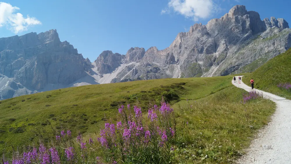 Auf dem Medalges Rundwanderweg