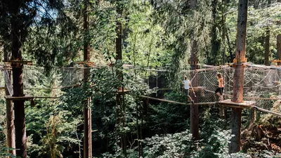 Baumparcour in St. Johann in Salzburg