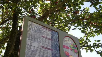 Baumlehrpfad im Alpendorf