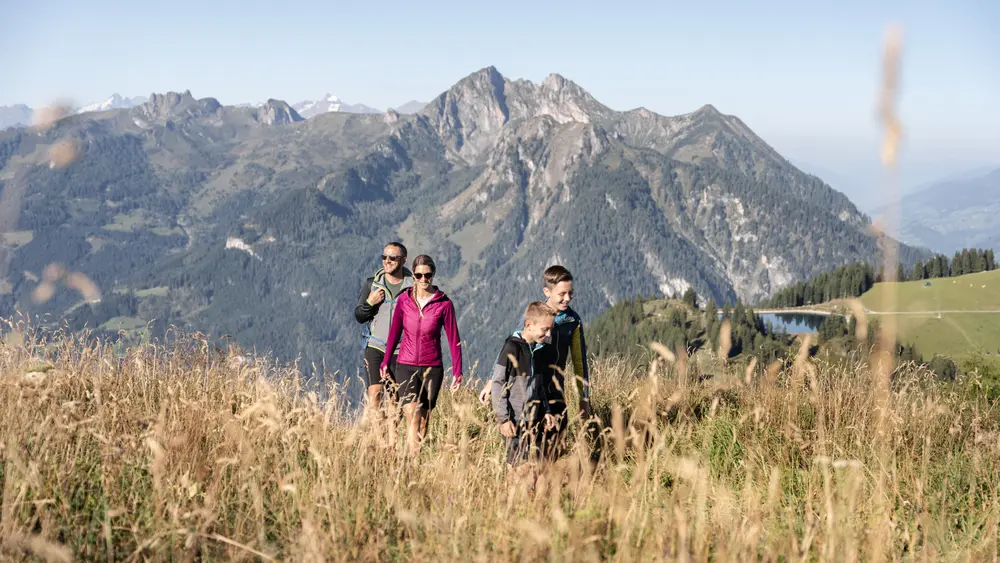 Unterwegs an Gernkogel und Sonntagskogel