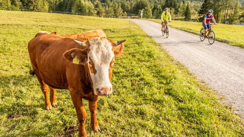 Biken in der Zugspitz Region