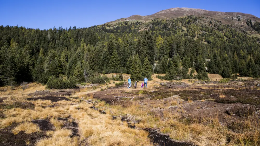 Unterwegs im Piller Moor