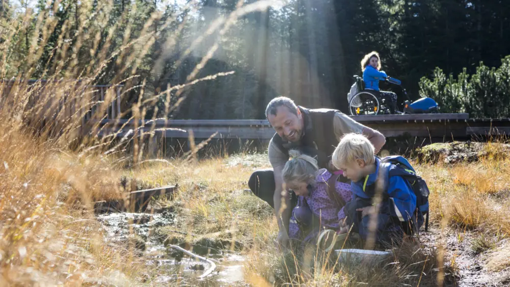 Im Moorlehrpfad Piller Moor