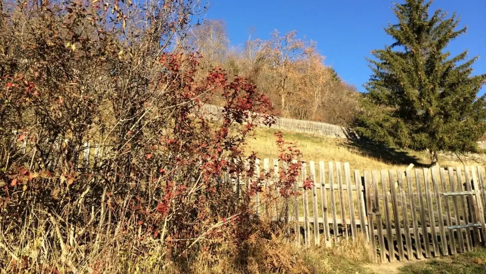 Wanderung entlang des informativen Themenweges im Naturschutzgebiet Kauns-Kaunerberg-Faggen