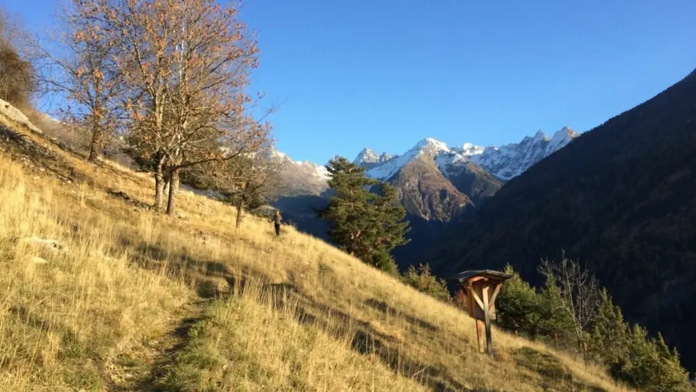 Wanderung entlang des informativen Themenweges im Naturschutzgebiet Kauns-Kaunerberg-Faggen