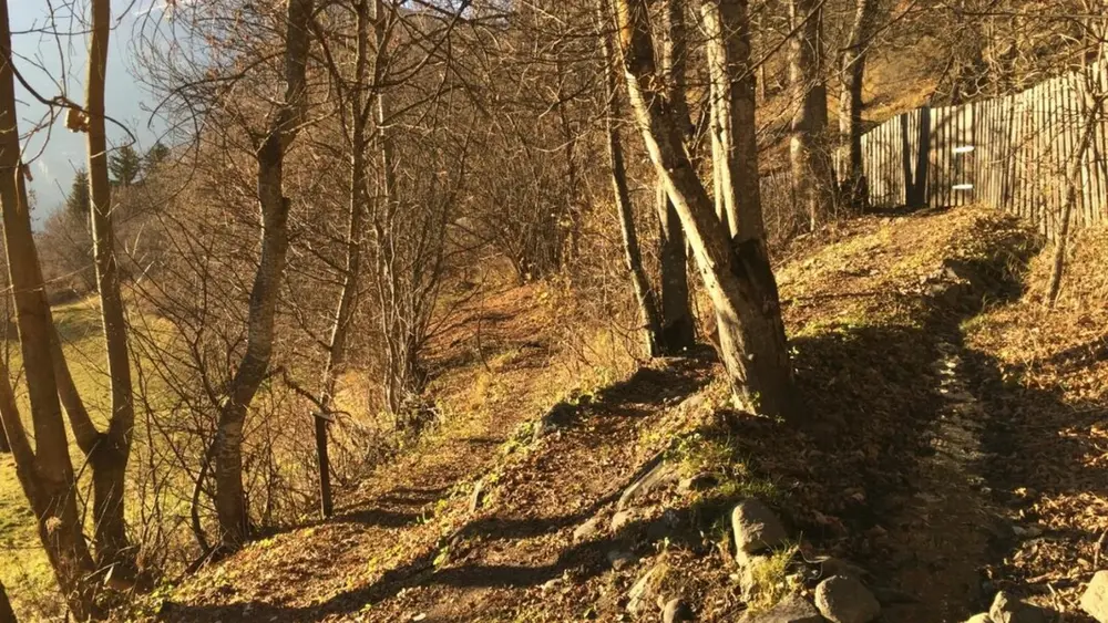 Wanderung entlang des informativen Themenweges im Naturschutzgebiet Kauns-Kaunerberg-Faggen