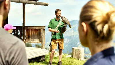 Greifvogelschau auf der Rauriser Hochalm