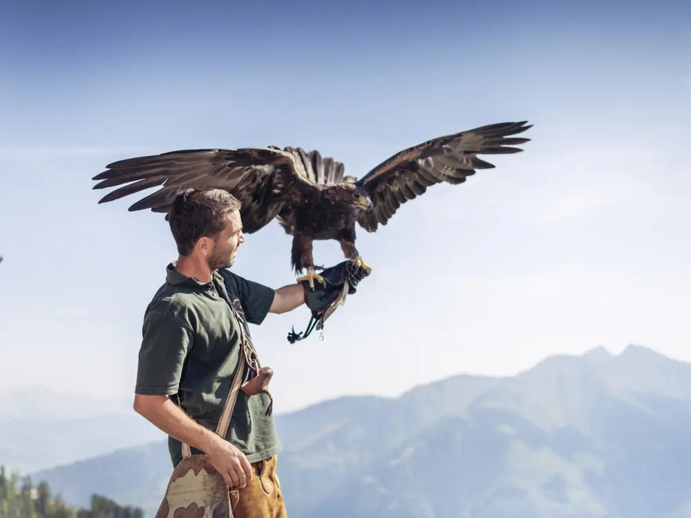 Greifvogelschau an den Rauriser Hochalmbahnen