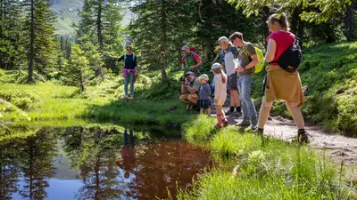Familienwanderung im Rauriser Urwald in Kolm Saigurn