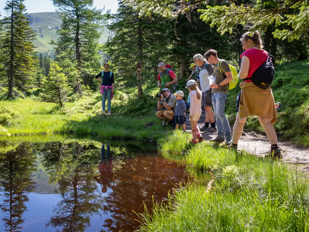 Familienwanderung im Rauriser Urwald in Kolm Saigurn