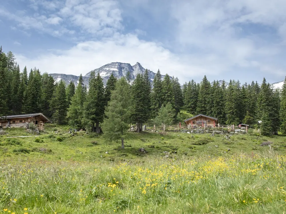 Blick au die Gainschniggalm