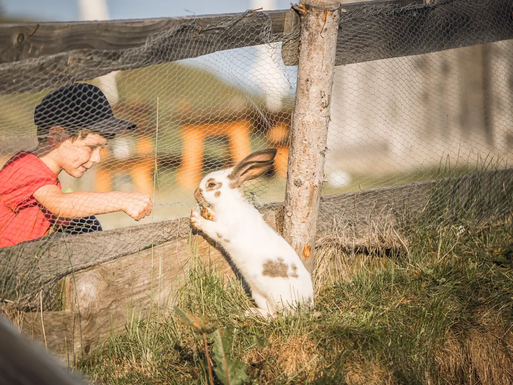 Flauschige Freunde in der Bergerlebniswelt Ratschings-Jaufen