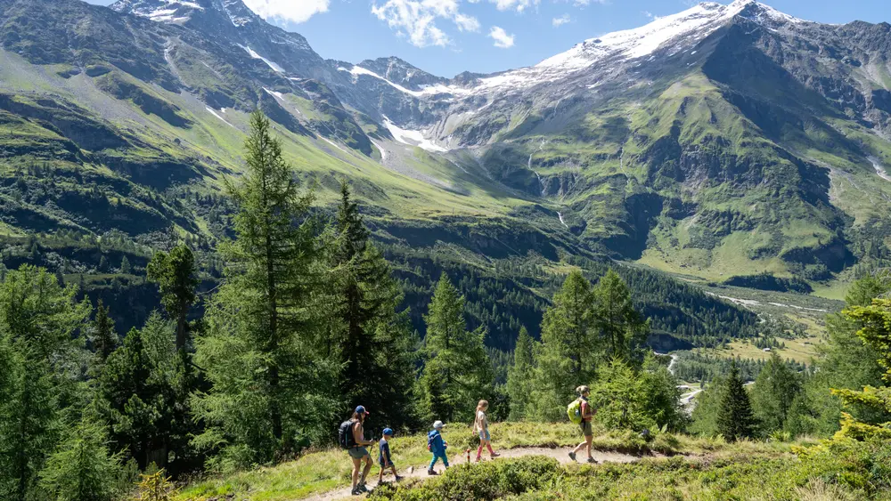 Wanderer vor der Goldberggruppe