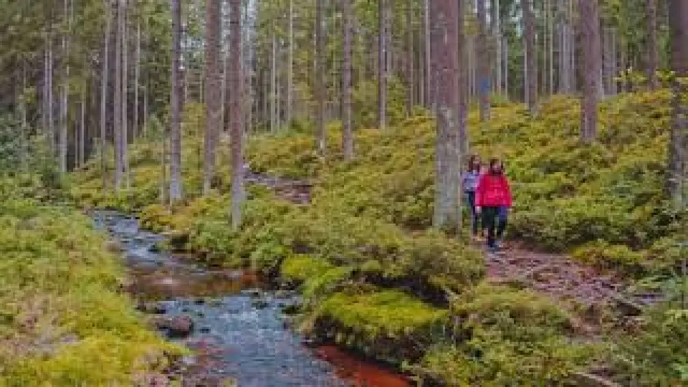  Der Weißmain-Ochsenkopf-Steig in Bischofsgrün