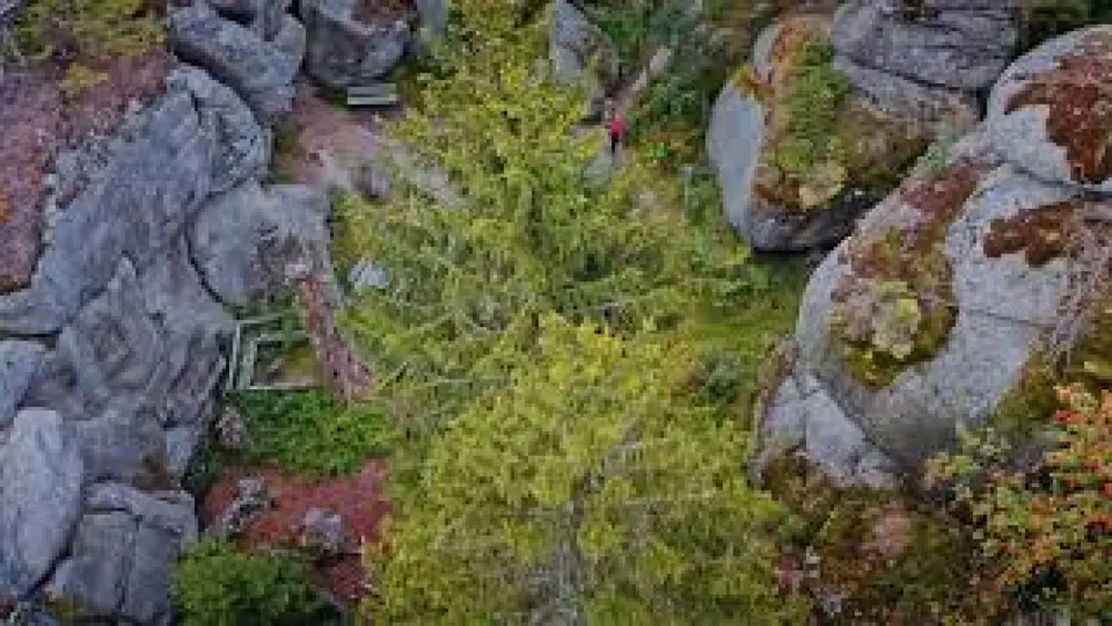 Der Weißmainfelsen im Fichtelgebirge
