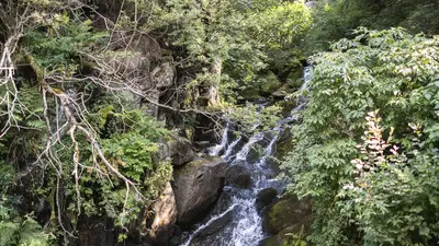 Wasserfall im Ultental