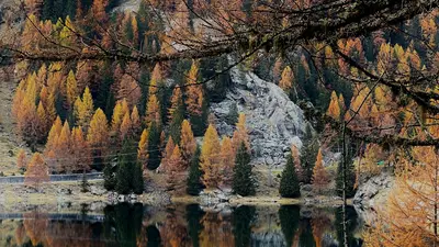 Herbst im Ultental