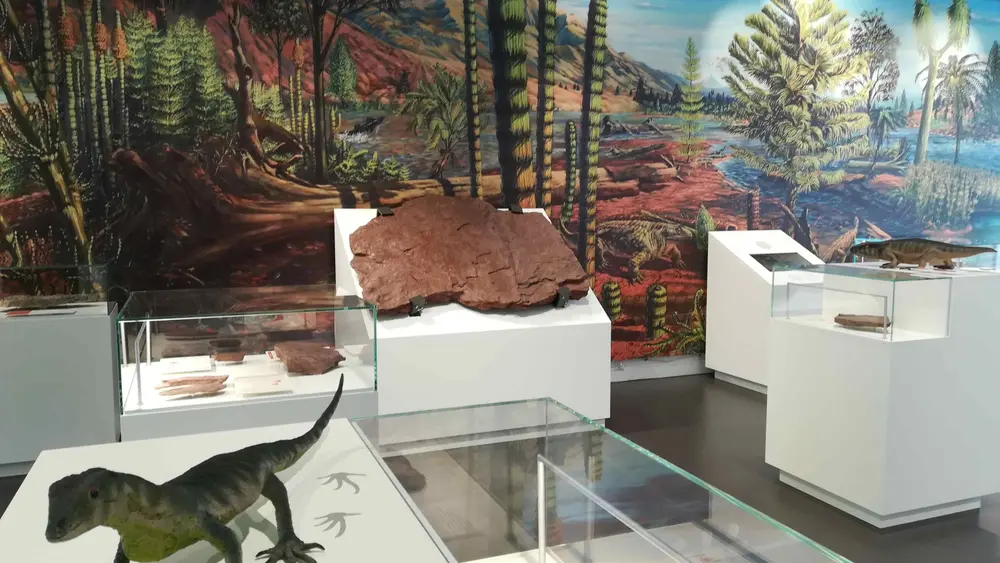 Impressionen von der Ausstellung