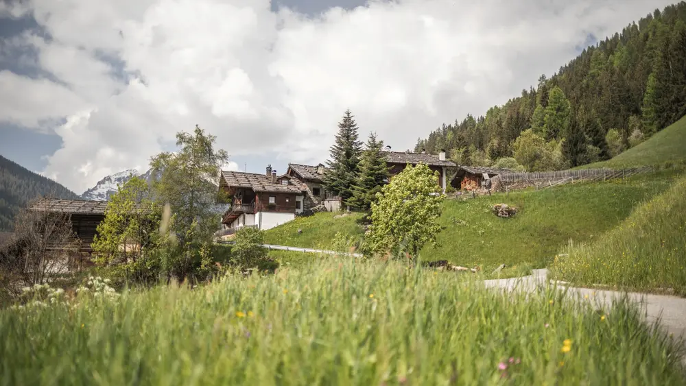 Wandern in der Talsohle: Ultner Höfeweg