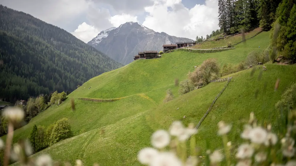 Wandern in der Talsohle: Ultner Höfeweg