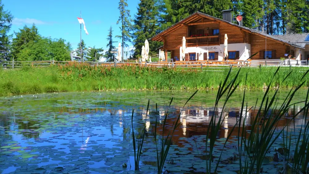 Neuhütt Alm im Eggental