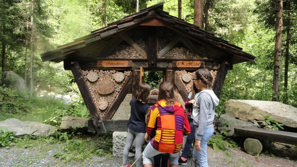 Insektenhotel Goppnitzbach