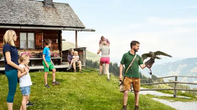 Greifvogelwarte Hochalm