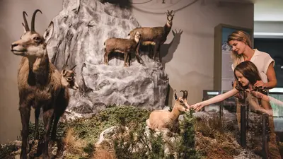 Besucherzentrum Naturatrafoi