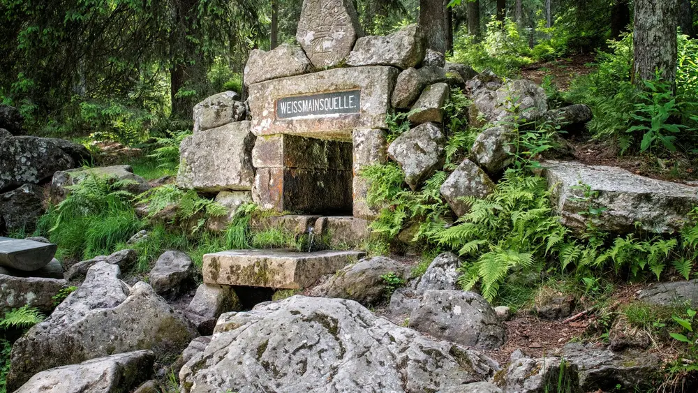 Weißer Main am Quellenweg im Fichtelgebirge