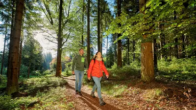 Markgrafenrunde Wülfersreuth