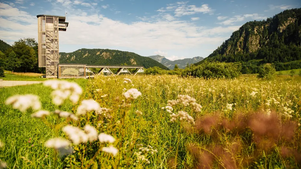 Blick auf die Schwemm